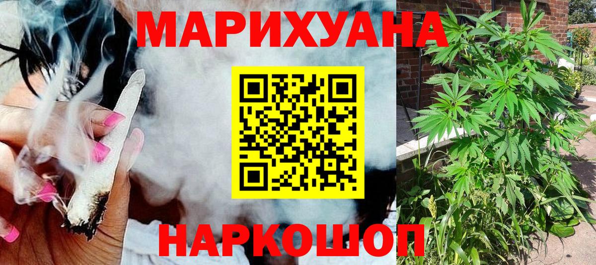 Конопля конопля Кудрово